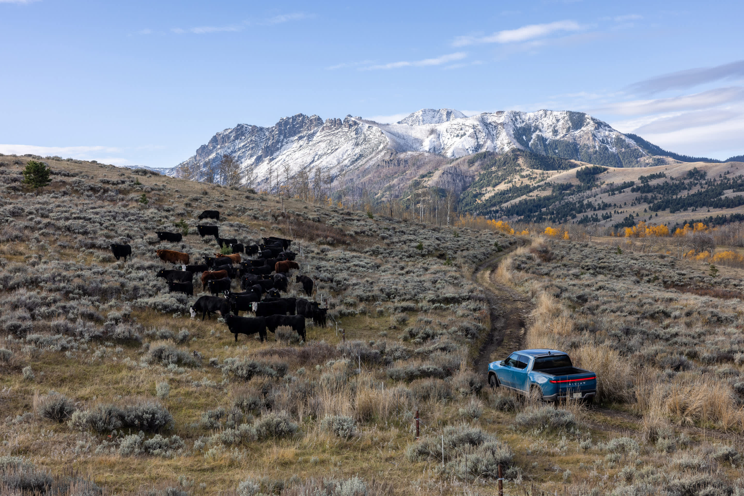 Rivian R1T Navigating Off-Road Wilderness Terrain